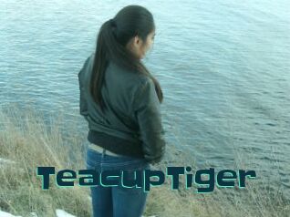 TeacupTiger
