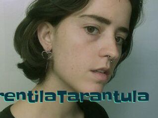 TerentilaTarantula