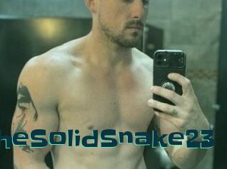 TheSolidSnake23