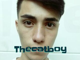 Thecatboy