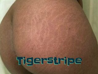 Tigerstripe