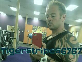Tigerstripes6767