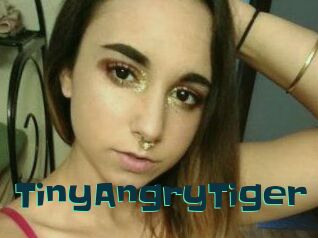 TinyAngryTiger