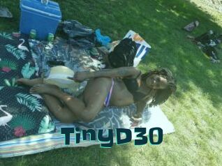 TinyD30