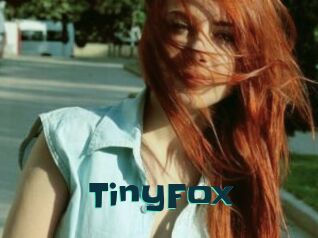 TinyFox