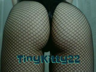 TinyKitty22