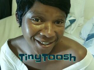 TinyToosh
