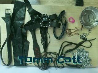 Tomm_Catt