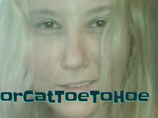 TravellingIndoorCatToeToHoe
