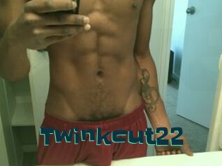 Twinkcut22