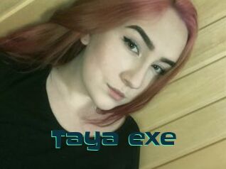Taya_exe