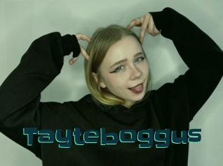 Tayteboggus