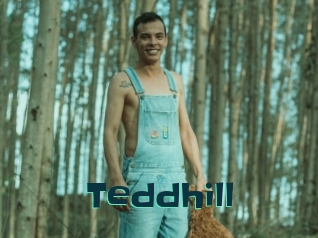Teddhill