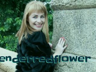 Tenderredflower