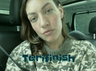 Terifinish