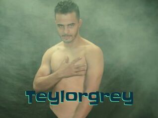 Teylorgrey