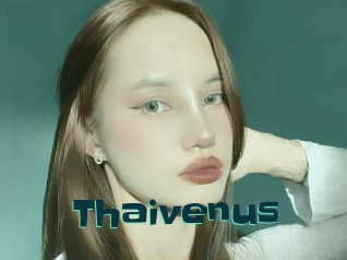 Thaivenus