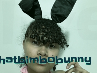 Thatbimbobunny