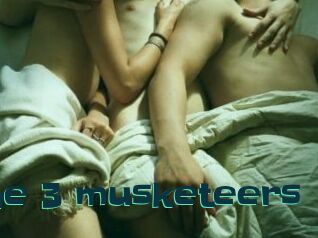 The_3_musketeers