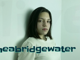 Theabridgewater