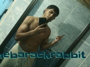 Thebarackrabbit