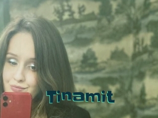 Tinamit