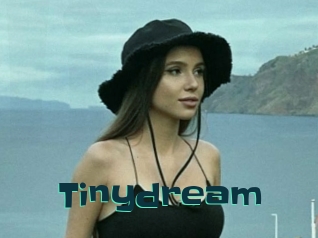 Tinydream
