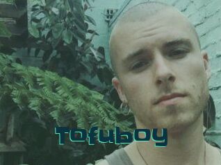 Tofu_boy
