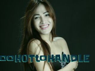TooH0TtoHANDLE