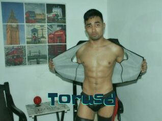 Torusd