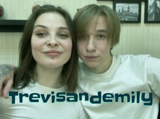 Trevisandemily