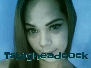 Tsbigheadcock