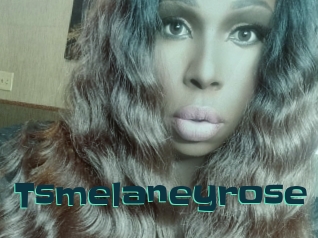 Tsmelaneyrose