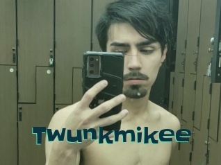 Twunkmikee