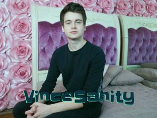 VinceSanity