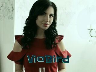 VioBird