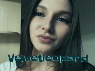 Velvetleopard