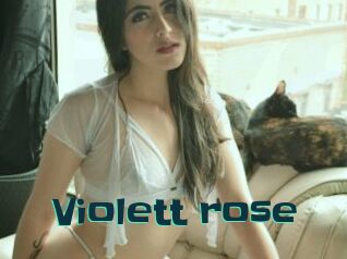 Violett_rose