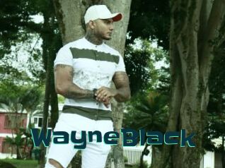 WayneBlack
