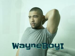 WayneBoyI