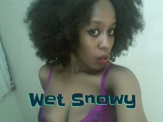 Wet_Snowy