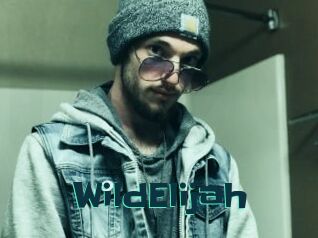 WildElijah