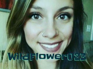 WildFlower023