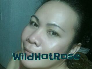 WildHotRose