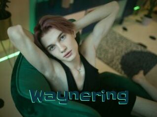Waynering