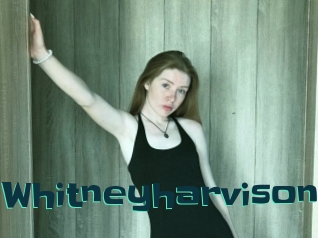 Whitneyharvison