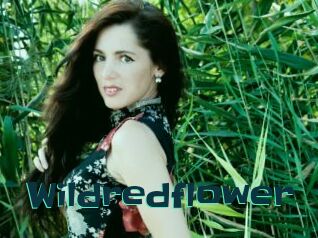 Wildredflower