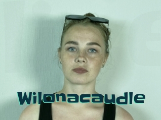 Wilonacaudle