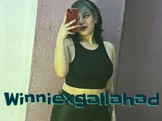 Winniexgallahad
