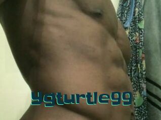 Ygturtle99